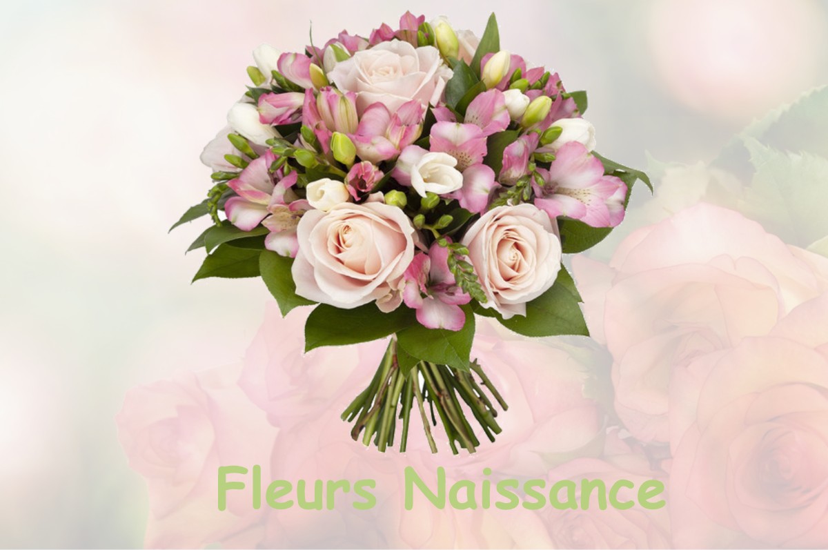 fleurs naissance HAUDIOMONT