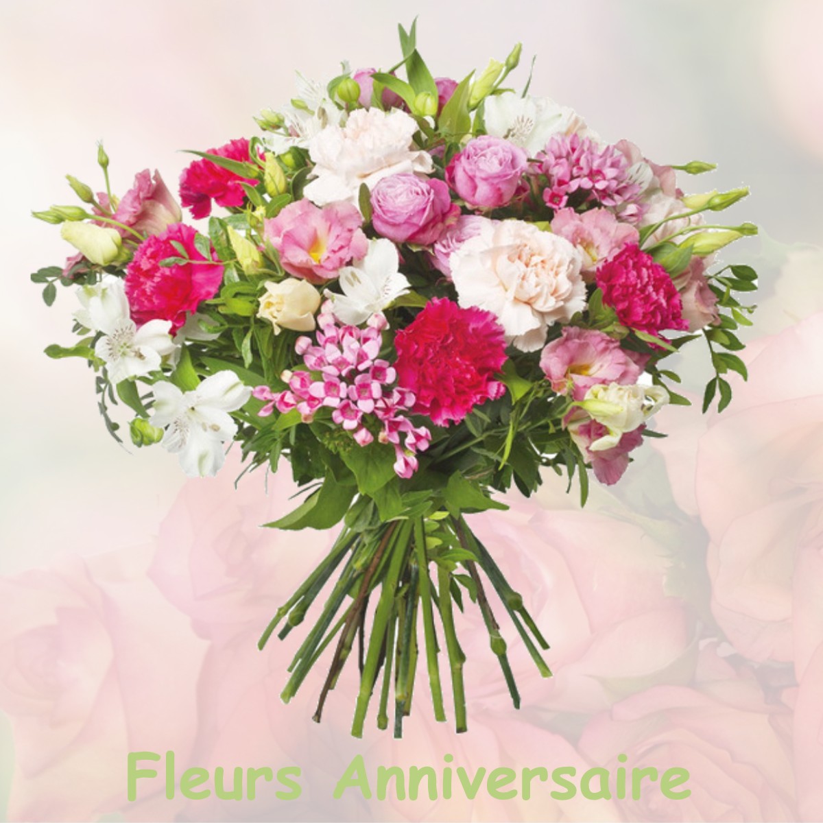 fleurs anniversaire HAUDIOMONT