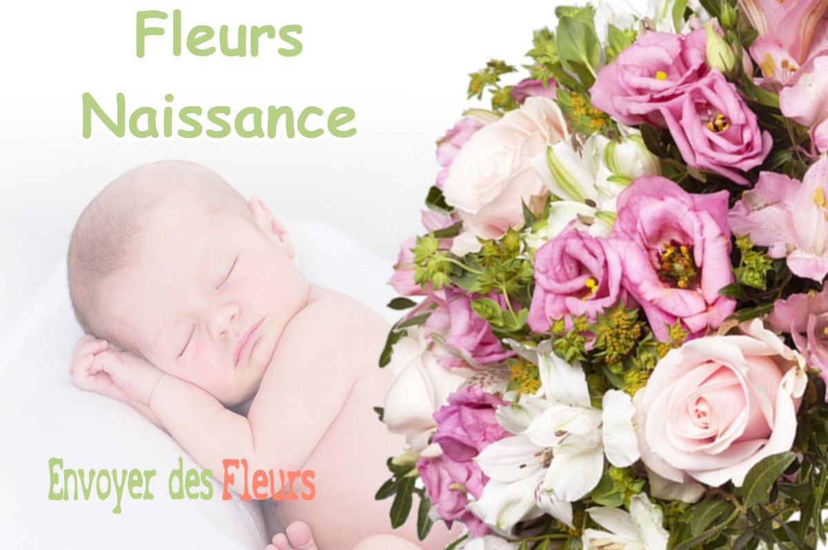 lIVRAISON FLEURS NAISSANCE à HAUDIOMONT